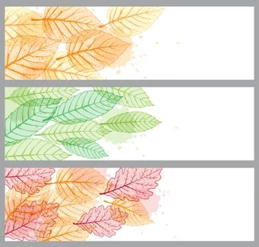 Banners with leaves Stock Illustration