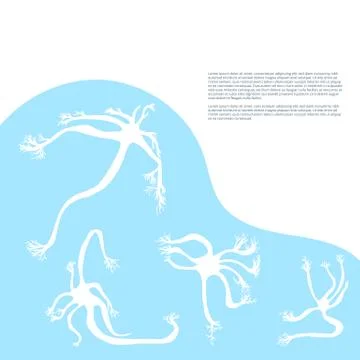 Banners template with neuron cells with long axons. Vector illustartion. Stock Illustration