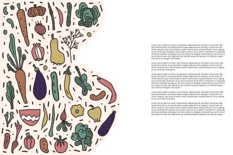 Banners template of vector vegetables. Collection of veg in doodle style isol Stock Illustration