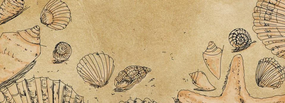 Banners templates  with drawings of shells Stock Illustration