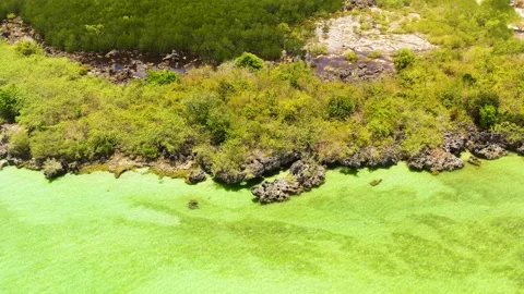 Bantayan Island in the Philippines. Cebu. Stock Footage 303390820