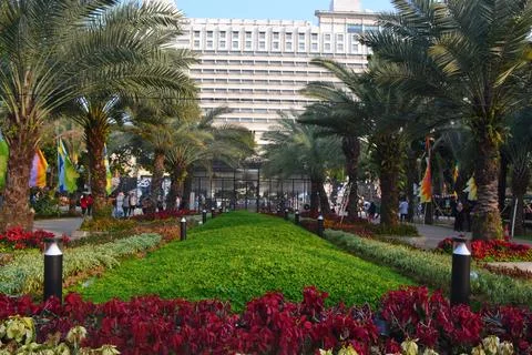 Banteng Field Stock Photos