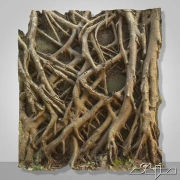 Banyan Roots Wall 2 3D Model