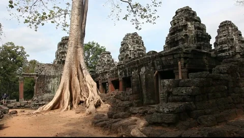 Banyan Tree at Banteay Kdei Video stock 10727308