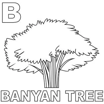Banyan Tree coloring page, with a big B to introduce letters to kids. Stock Illustration