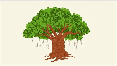 Banyan tree Illustrazione stock