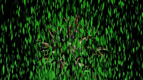 Banyan tree leafs flow - green - particles. Stock Footage 234299705