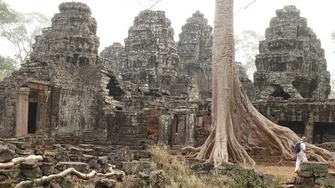 Banyan Tree Roots Ancient Angkor Tourists Cambodia 4k Stock Footage 85091418
