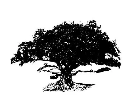 Banyan tree silhouette vector illustration, coconut tree  vector art, Stock Illustration