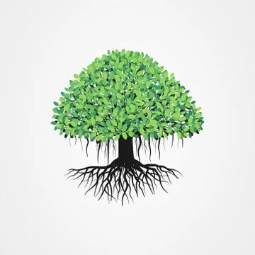 Banyan tree vector illustration with roots and green leaves. Illustrazione stock