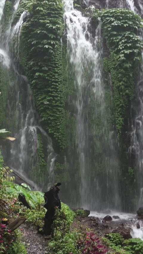 Banyumala because its twin waterfall in mountain Stock Footage 270531349