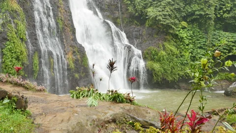 Banyumala Twin Waterfall and tropical plants in the foreground in Bali on a Stock Footage 188242534