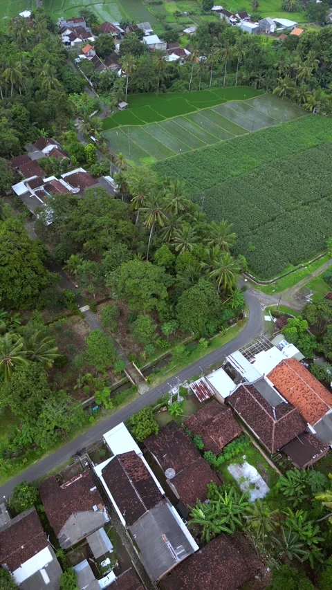 Banyuwangi City Indonesia Drone Java Video stock 309388222