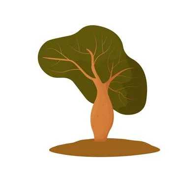 Baobab. Boab. Stock Illustration