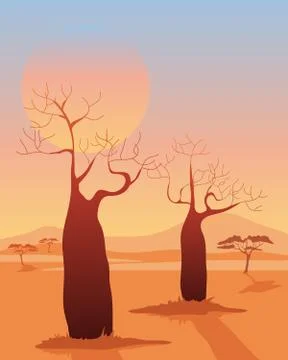 Baobab Stock Illustration