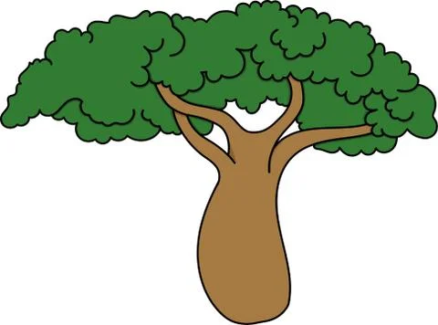 Baobab Stock Illustration