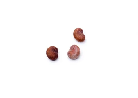 Baobab seeds Stock Photos