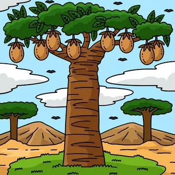 Baobab Tree Fruit Plant Nature Colored Cartoon Stock Illustration