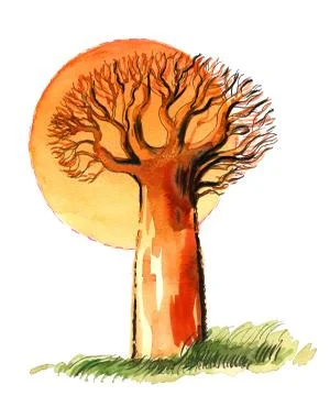 Baobab tree Stock Illustration
