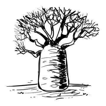 Baobab-Tree-vector-hand-drawn-illustration-on-white-background Stock Illustration