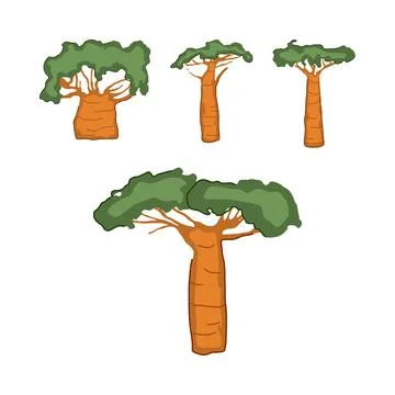 Baobab tree vector illustration set design イラスト素材