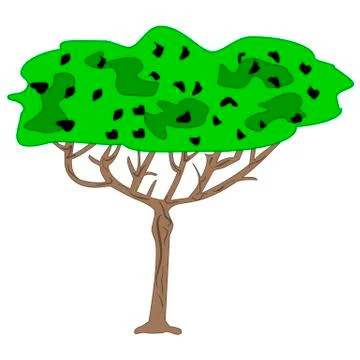 Baobab tree on a white background Stock Illustration