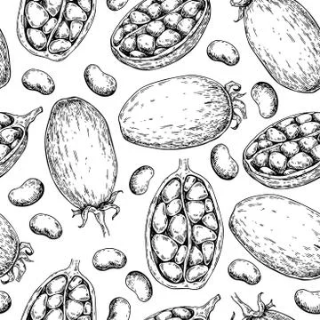 Baobab vector seamless pattern. Superfood drawing. Organic healthy Stock Illustration