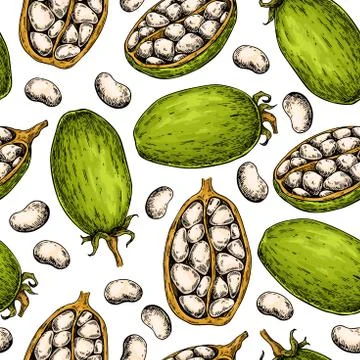 Baobab vector seamless pattern. Superfood drawing. Stock Illustration