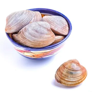 Bar clams Stock Photos