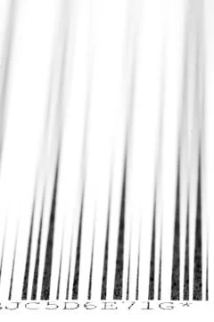 Bar code Foto stock