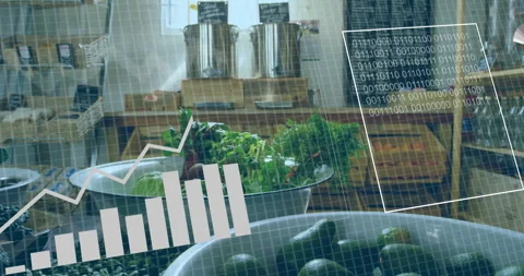 Bar graph and binary code animation over fresh produce in market setting Video stock 305205335