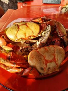 Bar table with crab dish Stock Photos