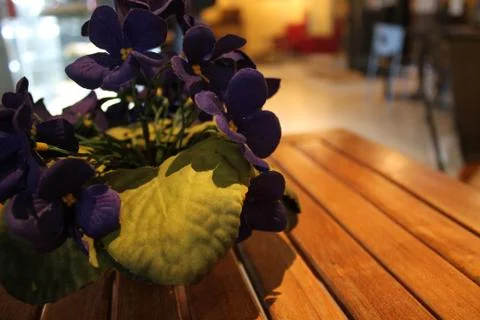 Bar table with violets Stock Photos