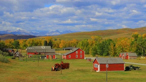 Bar U Ranch Longview Alberta Video stock 180849288