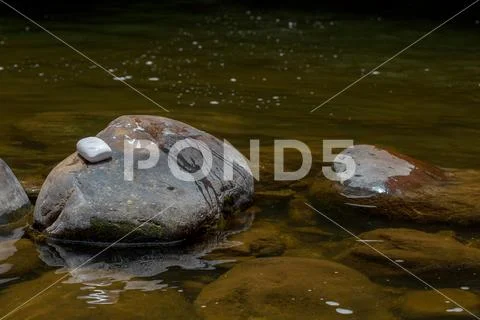 A bar of white soap rests over a rock in a river at the temperate lands of t Stock Photos