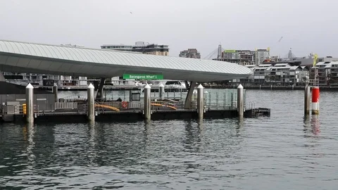 Barangaroo ferry wharf dock 库存影片 105146014