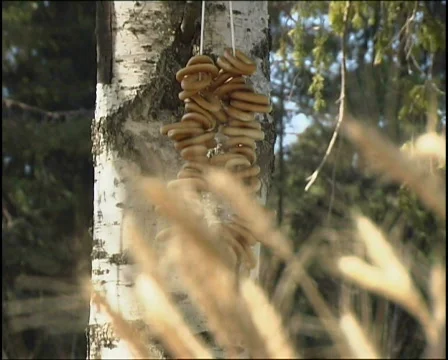 Baranka Stock Footage 654507