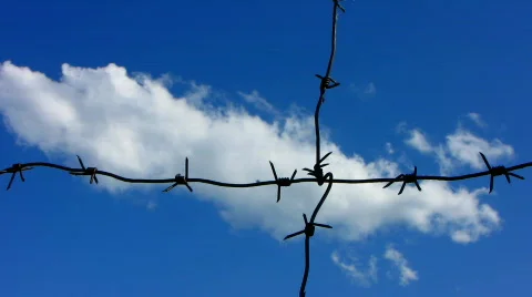 Barb wire 1 Video stock 776582
