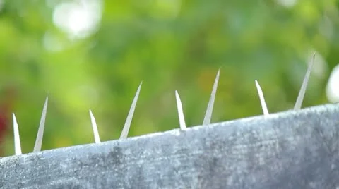 Barb wire 1 Stock Footage