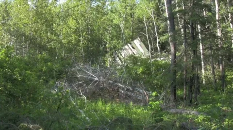 Barb wire 2 Stock Footage 283324
