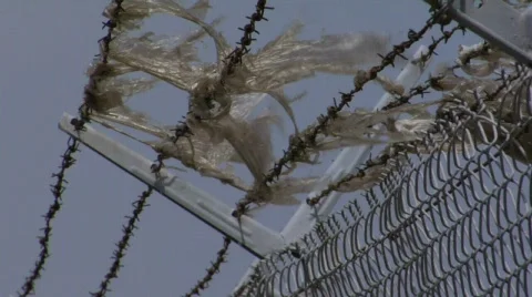 Barb Wire Backplate Stock-Footage 721130