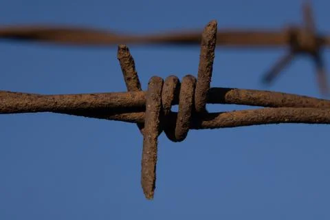 Barb Wire Close Up Macro Stock Photos