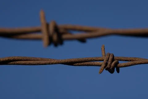Barb Wire Close Up Macro Stock Photos