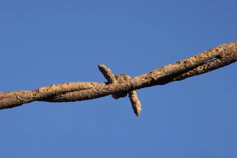 Barb Wire Close Up Macro Stock Photos
