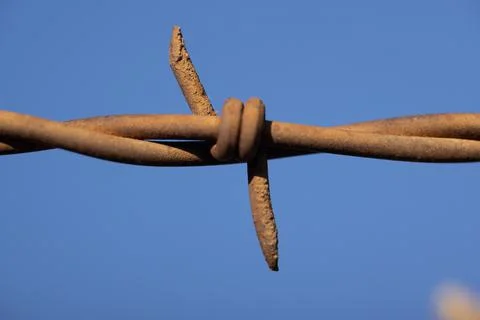 Barb Wire Close Up Stock Photos