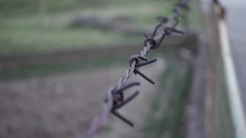 Barb wire fence close up Stock Footage 87182144