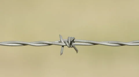 Barb Wire Fence Close up Pan Stock Footage 59100944