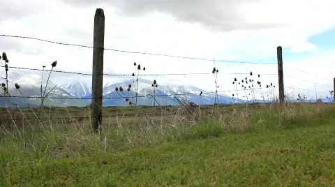 Barb wire Stock Footage 755071