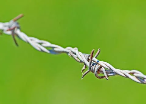Barb wire on green Stock Photos