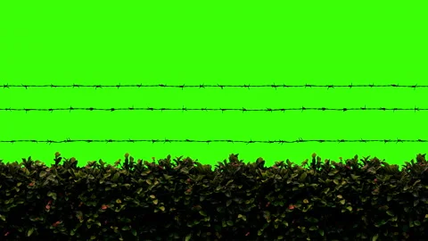 Barb Wire greenscreen Stock Footage 153172692